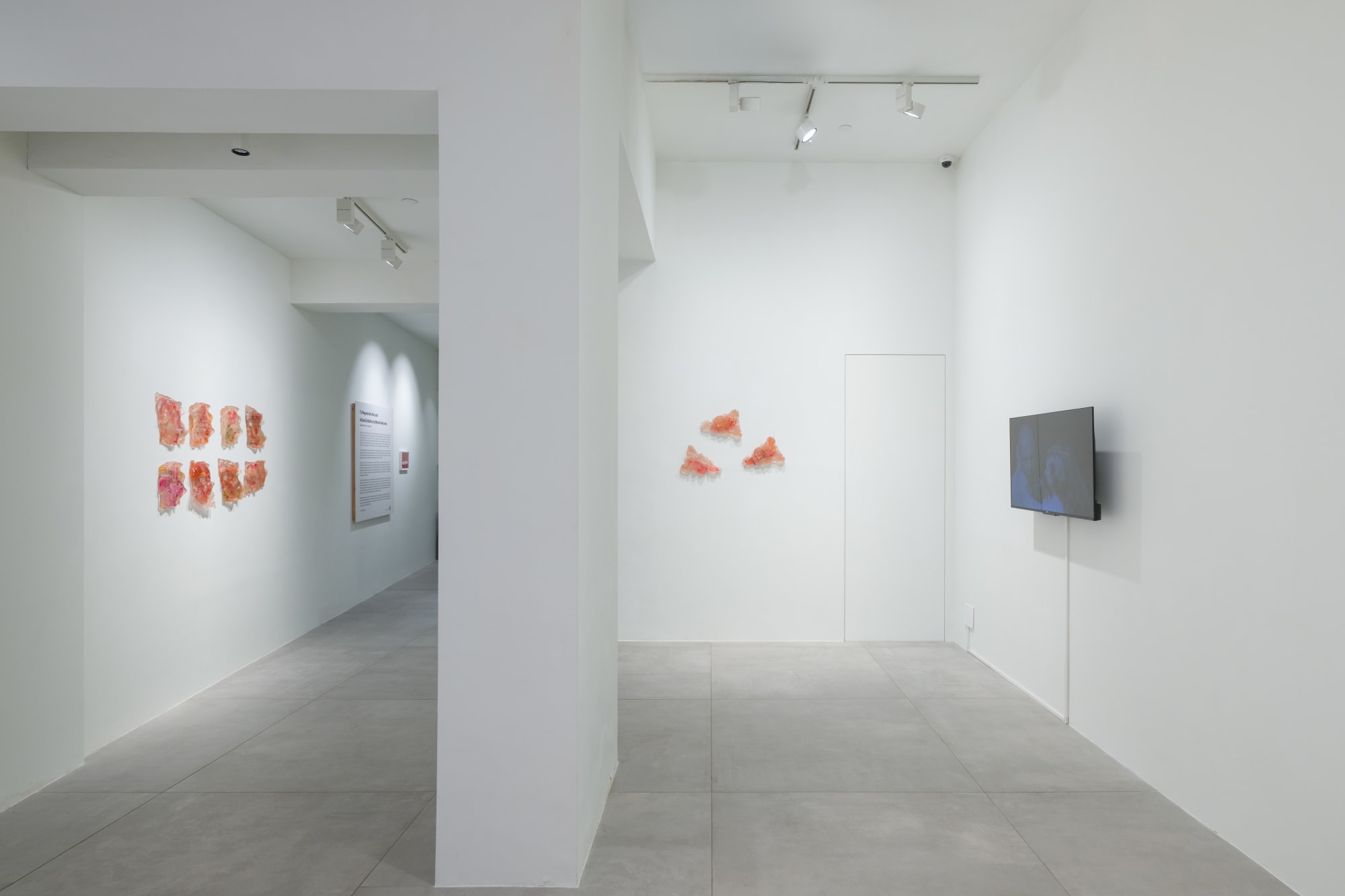 To Regenerate the Lost: A Solo Exhibition by Maria Kulikovska