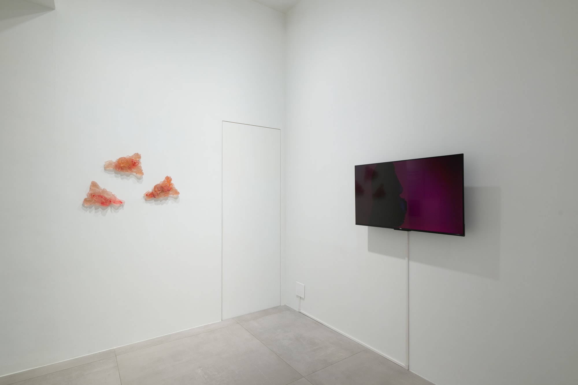 To Regenerate the Lost: A Solo Exhibition by Maria Kulikovska