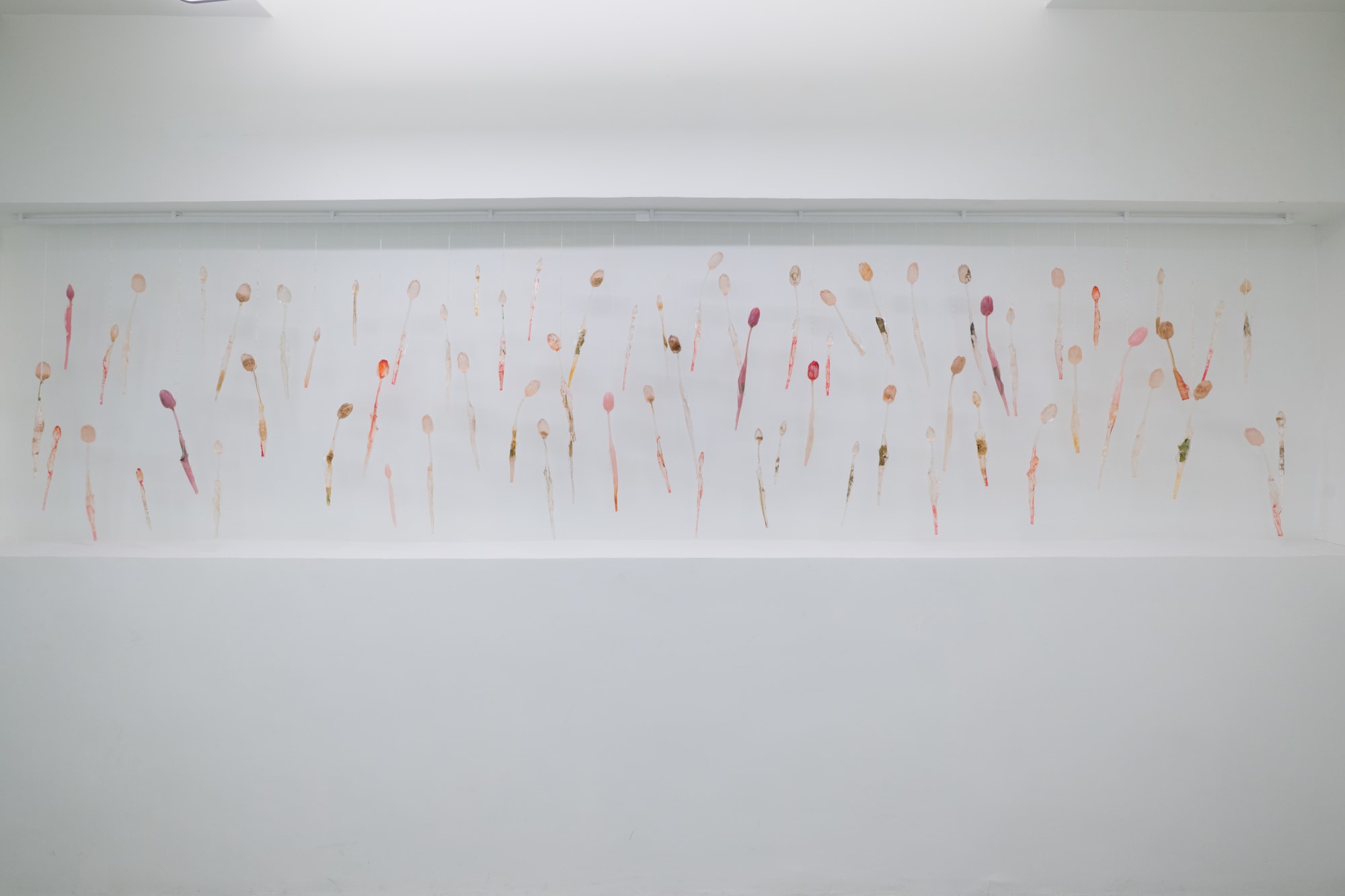 To Regenerate the Lost: A Solo Exhibition by Maria Kulikovska