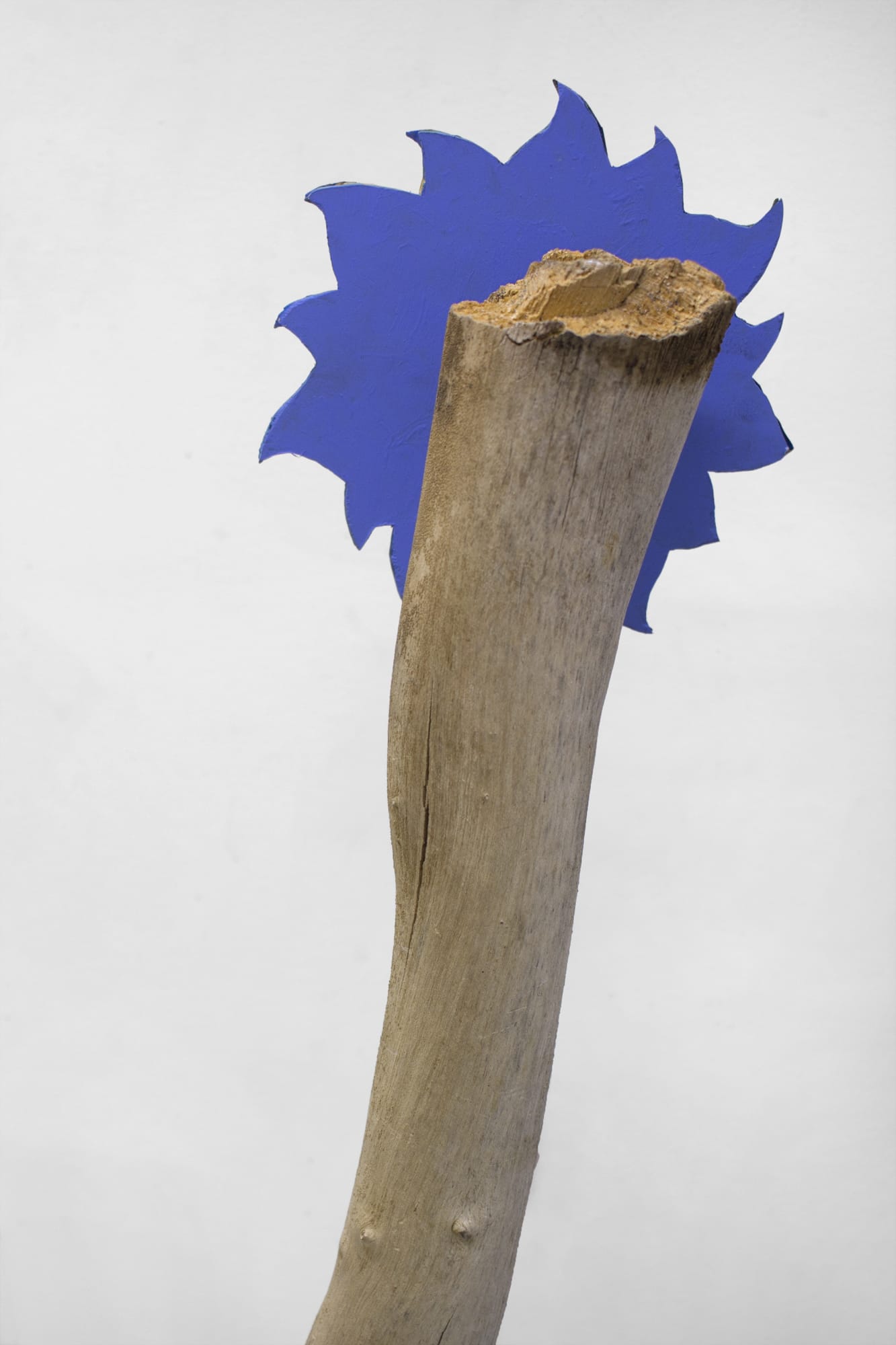 PAULA LAWRIE + ZACK RAFULS