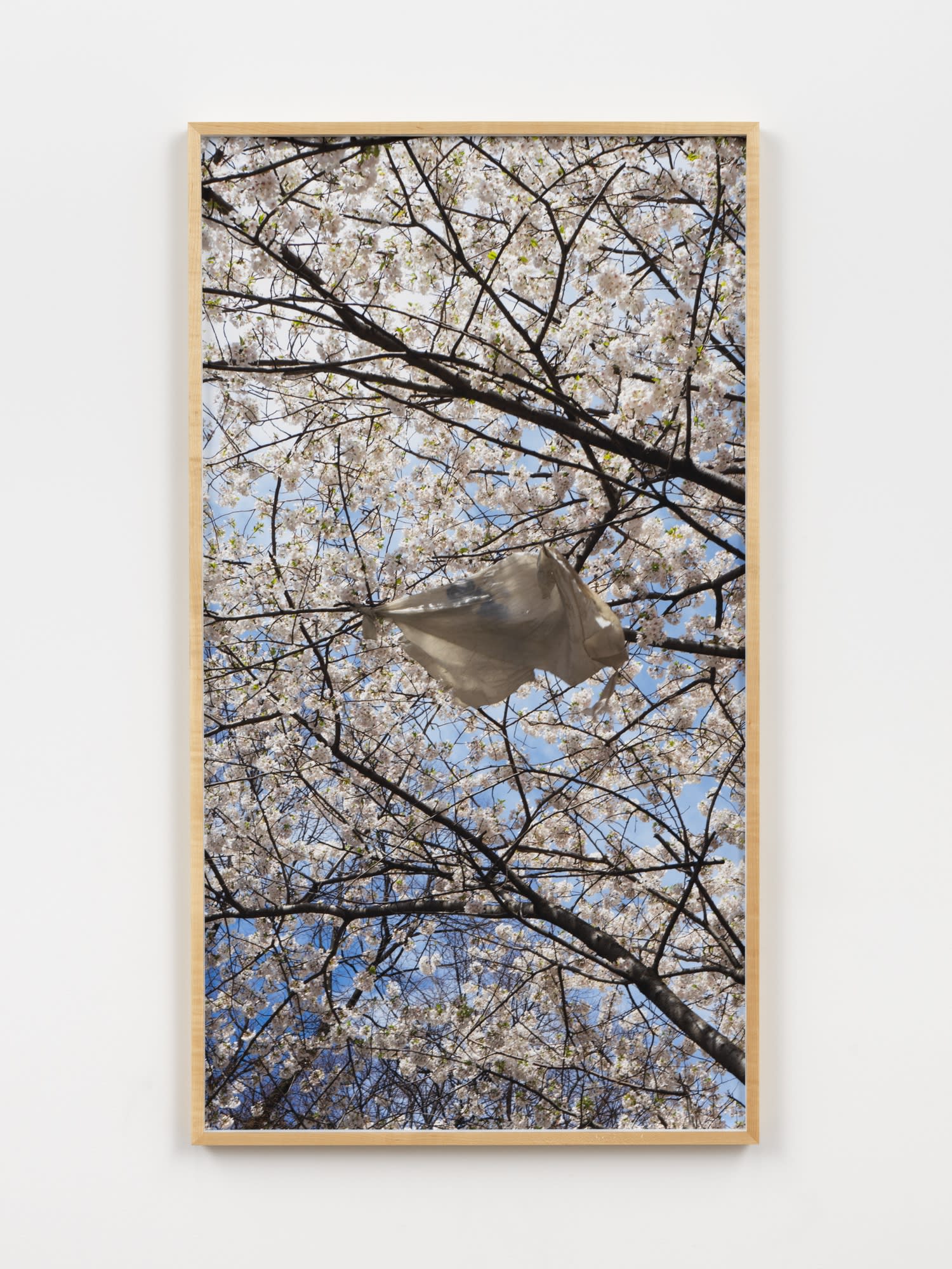 MIKA AGARI + ZACK RAFULS