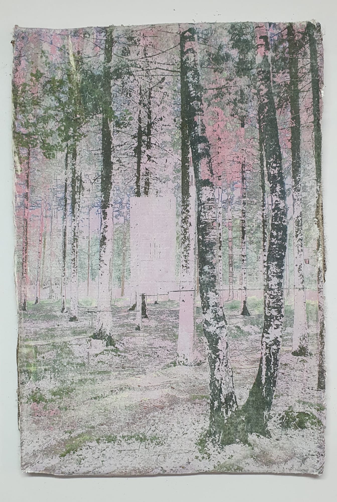 Jeroen van Dooren, Fred Robeson, In-Flux 4, 2022