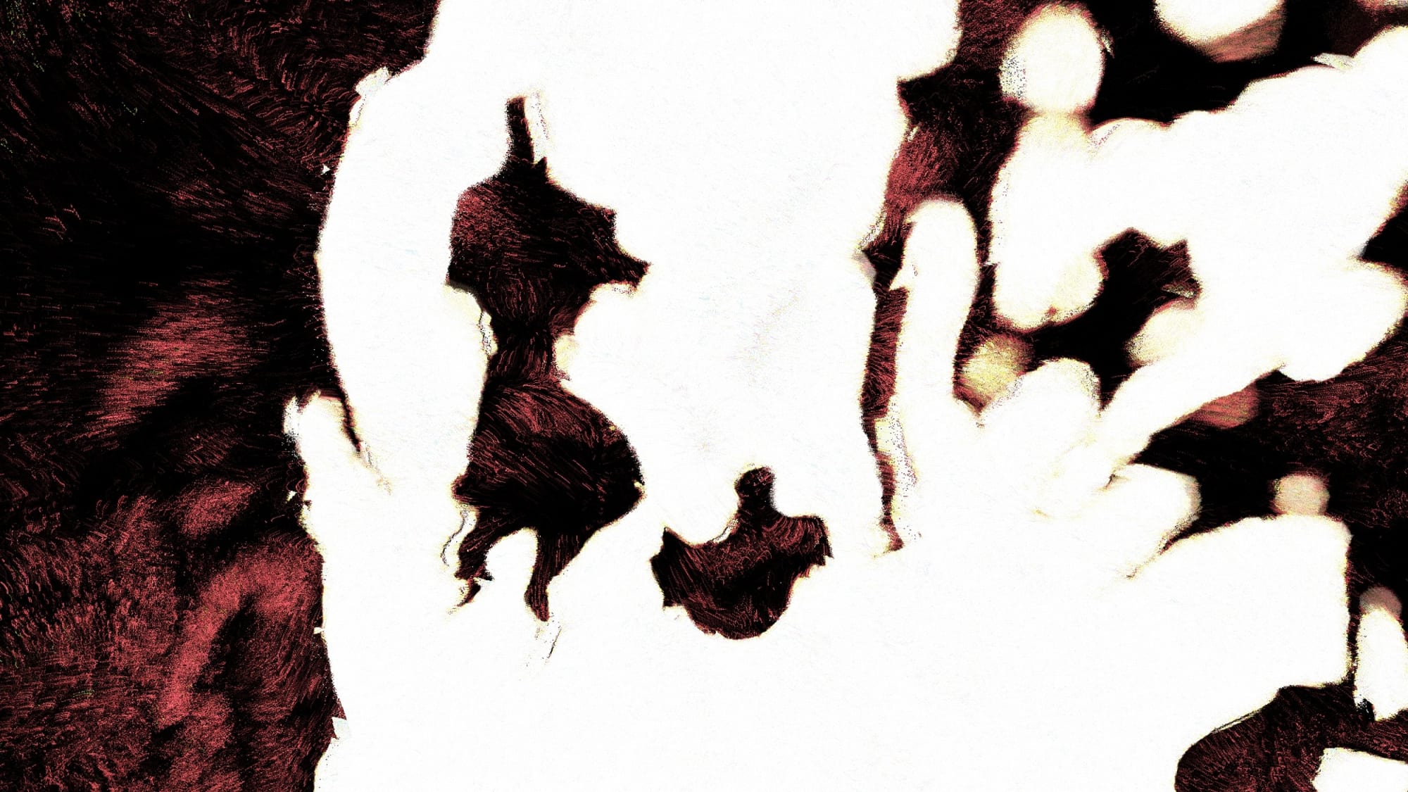 Mahziar Arjmandnia, From the "Higgs Boson" series, 2018