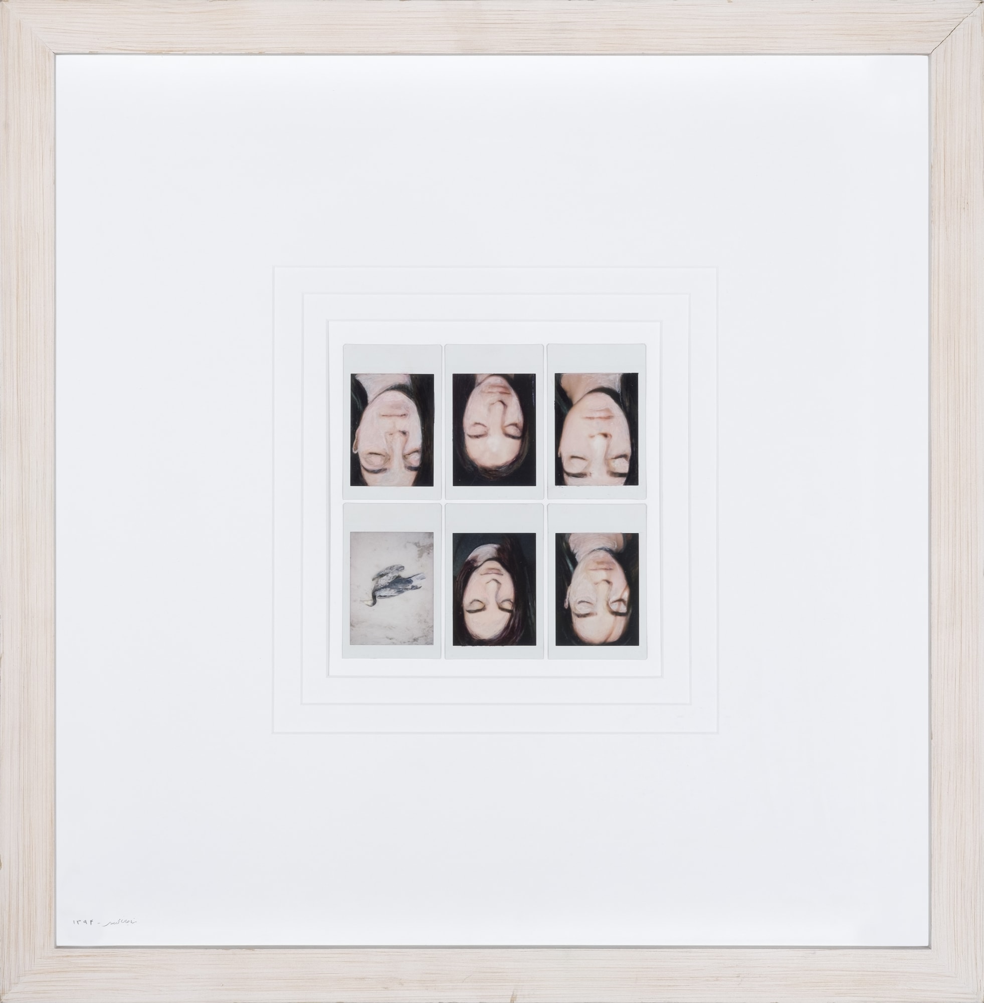 Mona JanMohamadi, Instant Photos and Absolute Development, 2015