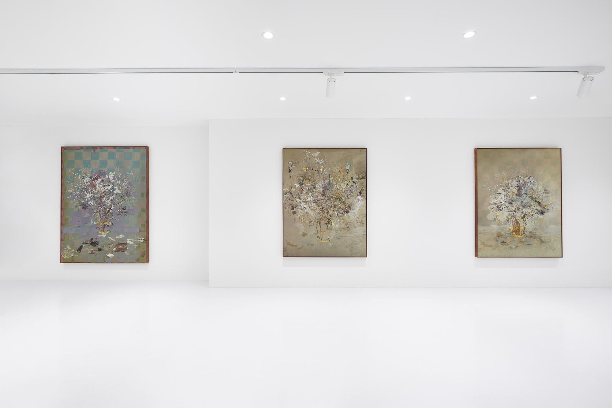 Petra Cortright