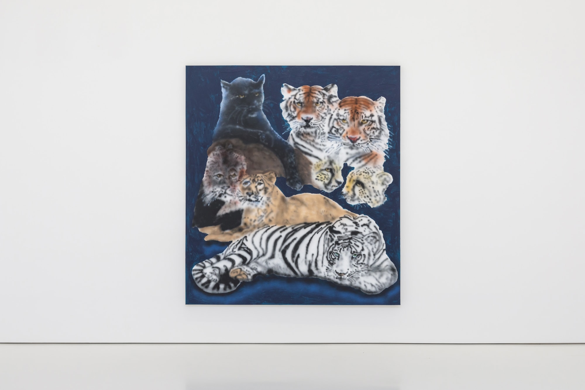 Ricardo Passaporte Car Wash Animals Exhibition