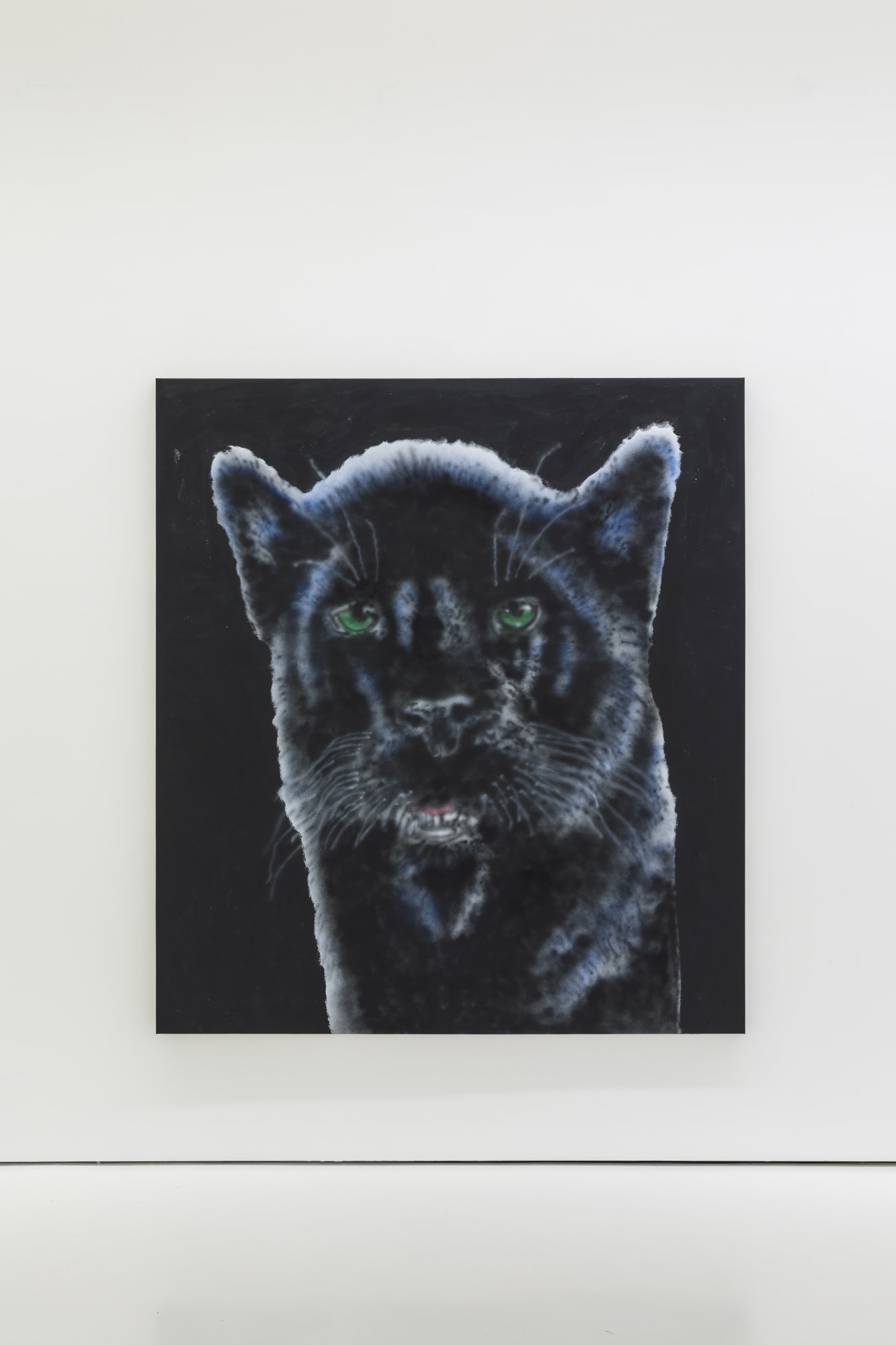 Ricardo Passaporte Car Wash Animals Exhibition