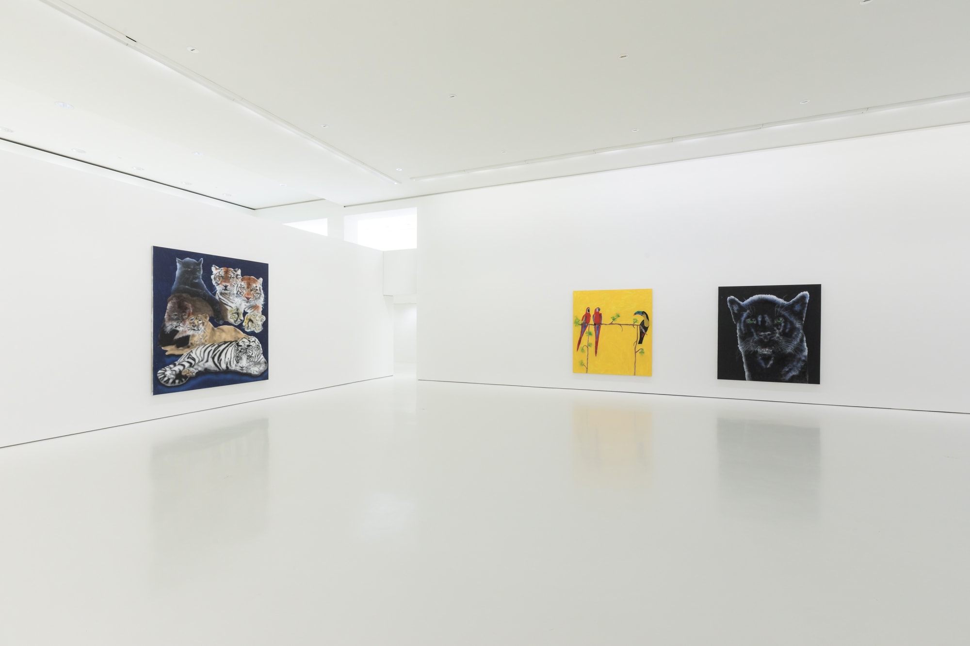 Car Wash Animals by Ricardo Passaporte Exhibition