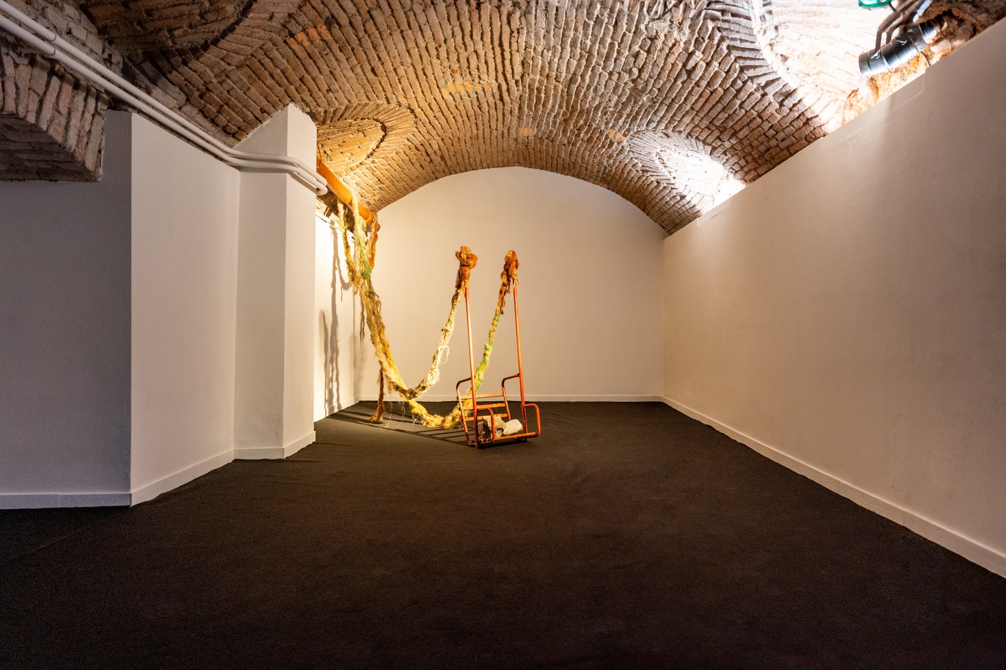 The Sun at its Zenith | Caterina Sammartino