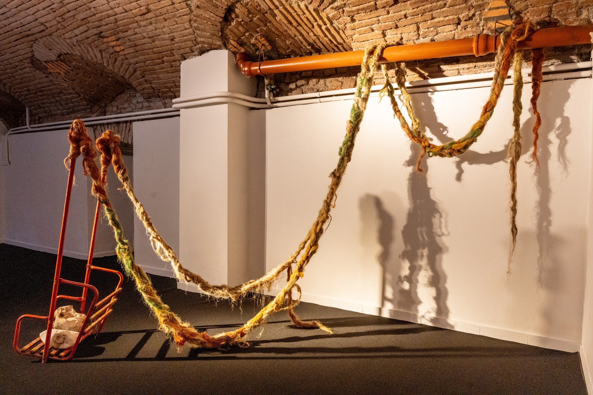 The Sun at its Zenith | Caterina Sammartino