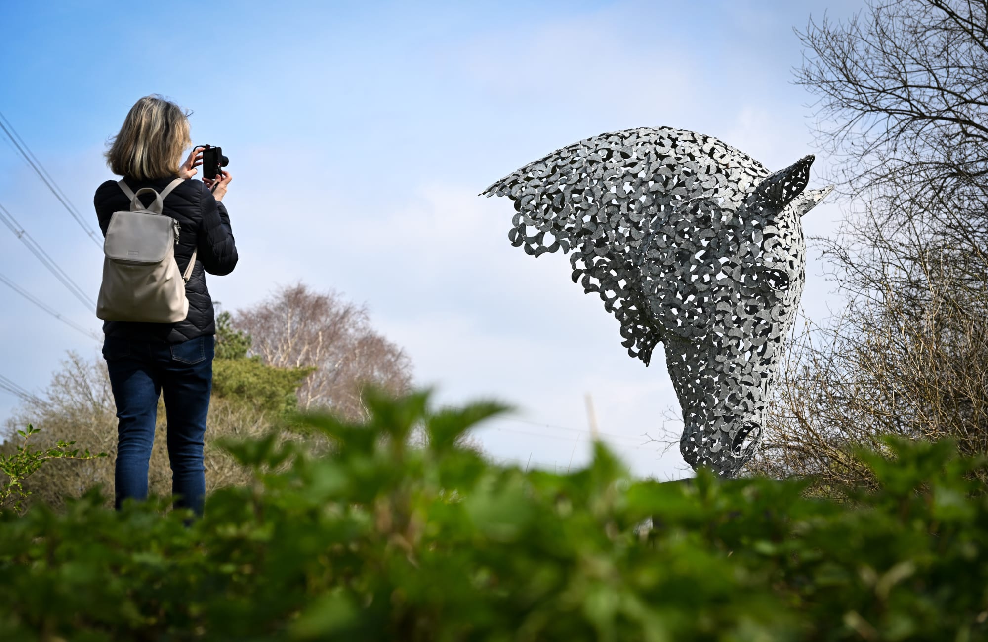 Big Horse Head by Charles Elliott. Photo by Finnbarr Webster