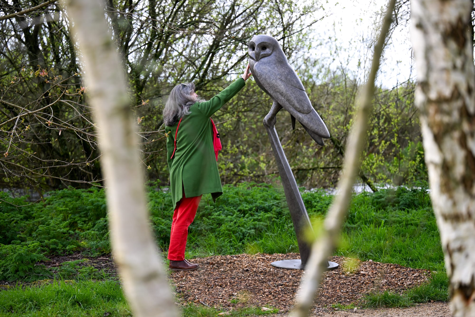 Barn Owl Resting by Carl Longworth. Photo by Finnbarr Webster