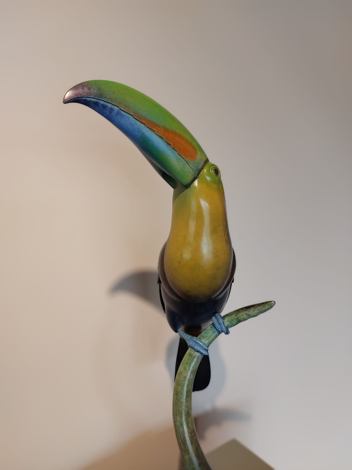 Toucan (detail)