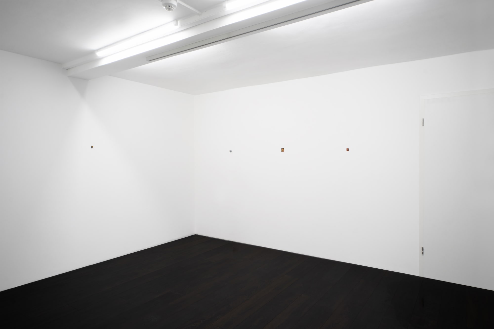 Después de todo, Pececillo