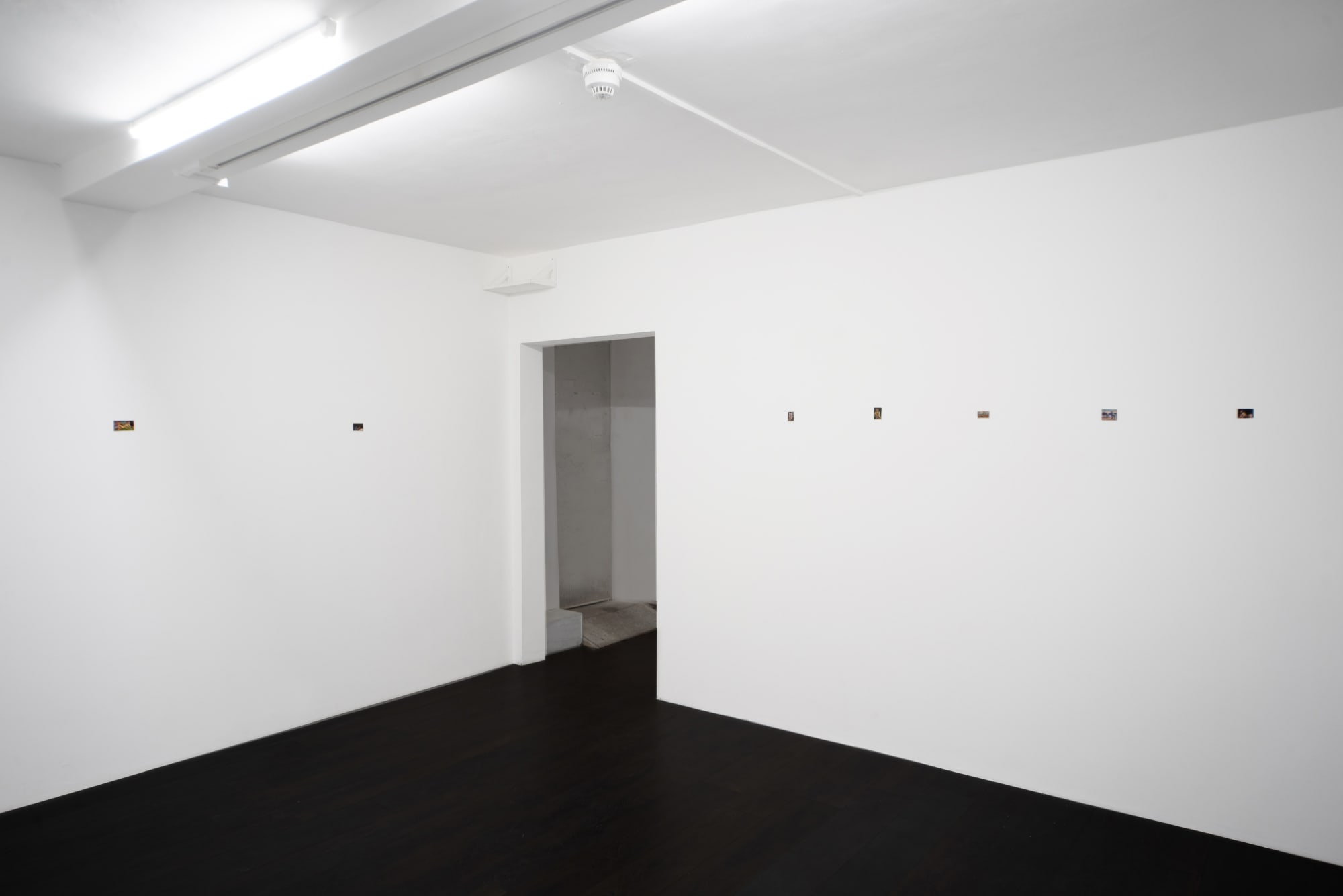 Después de todo, Pececillo