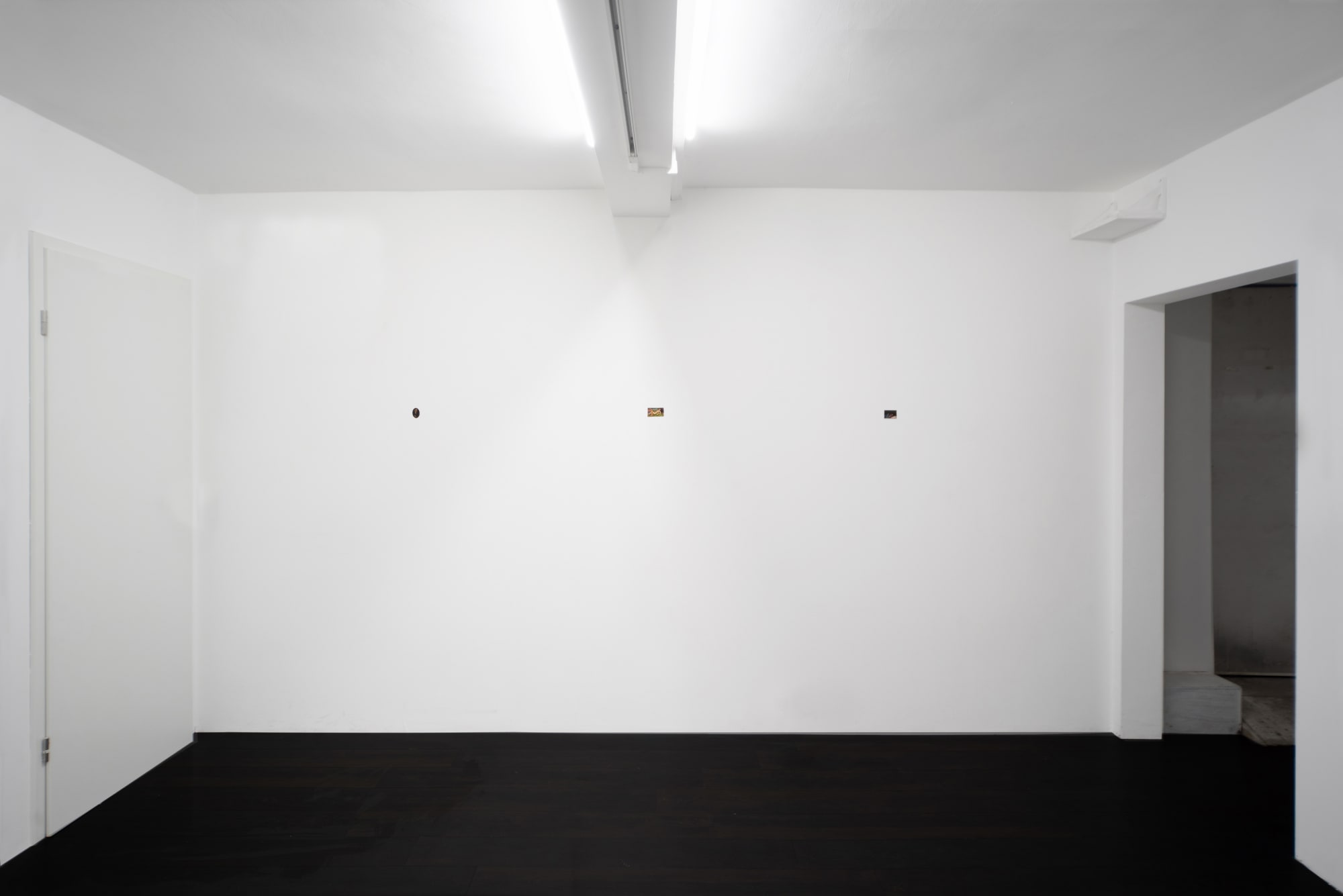 Después de todo, Pececillo