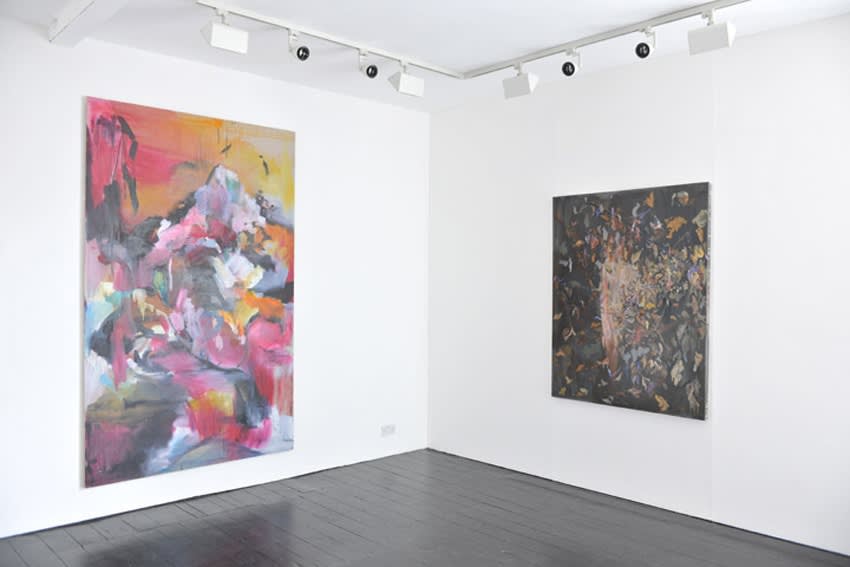 The Mountain where Whales once Lived