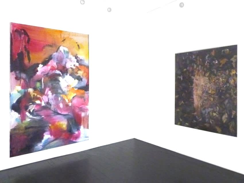 The Mountain where Whales once Lived