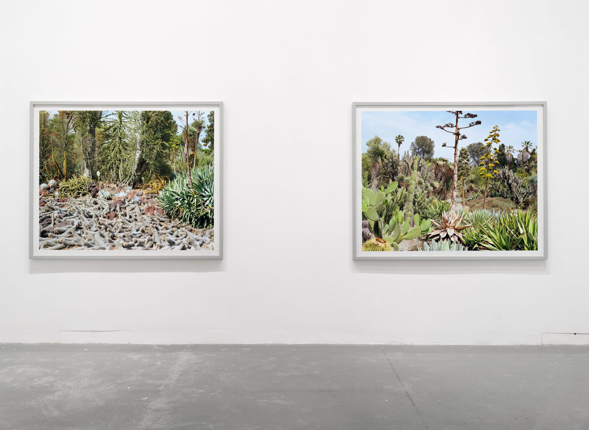 Analysing Trapping Inspecting