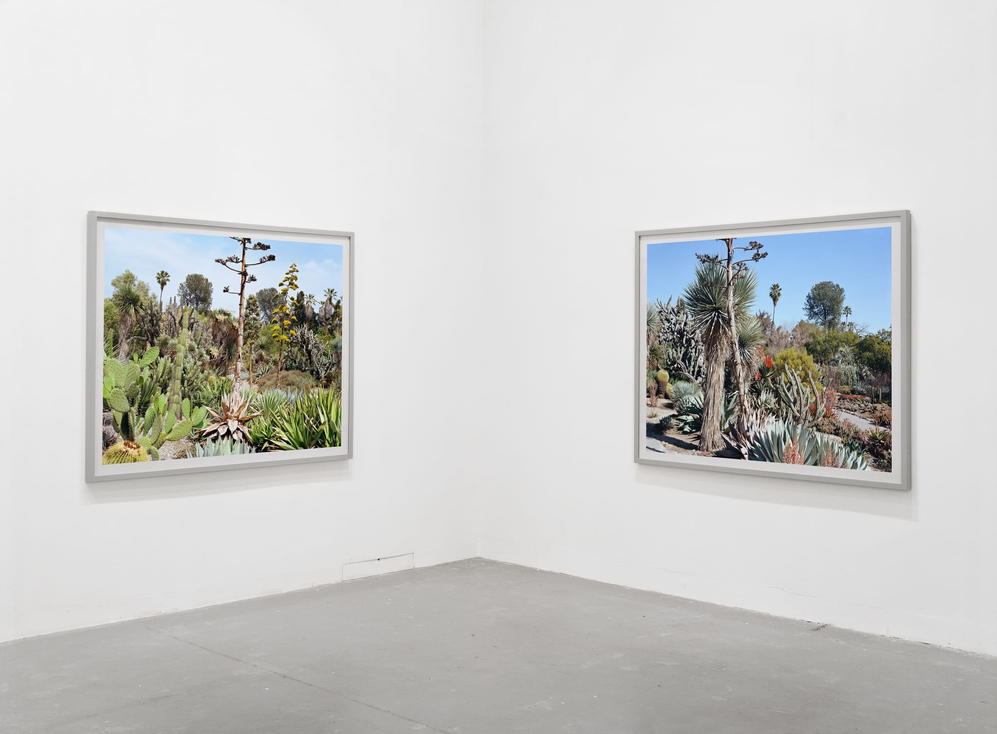 Analysing Trapping Inspecting