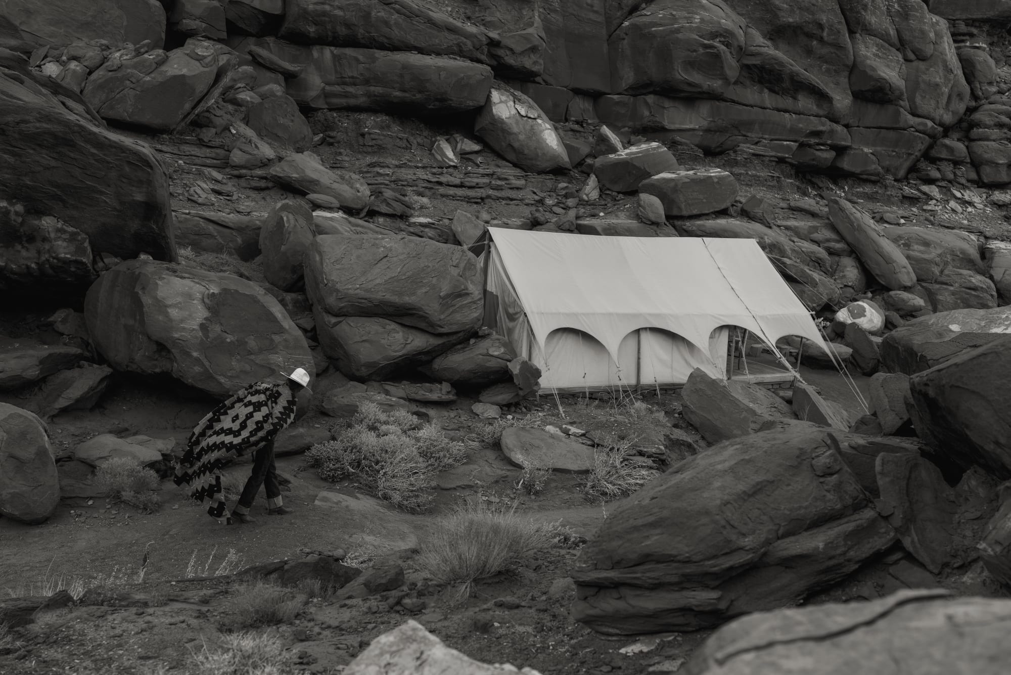 No.16 A Naturalist Guide to Magic 2024.