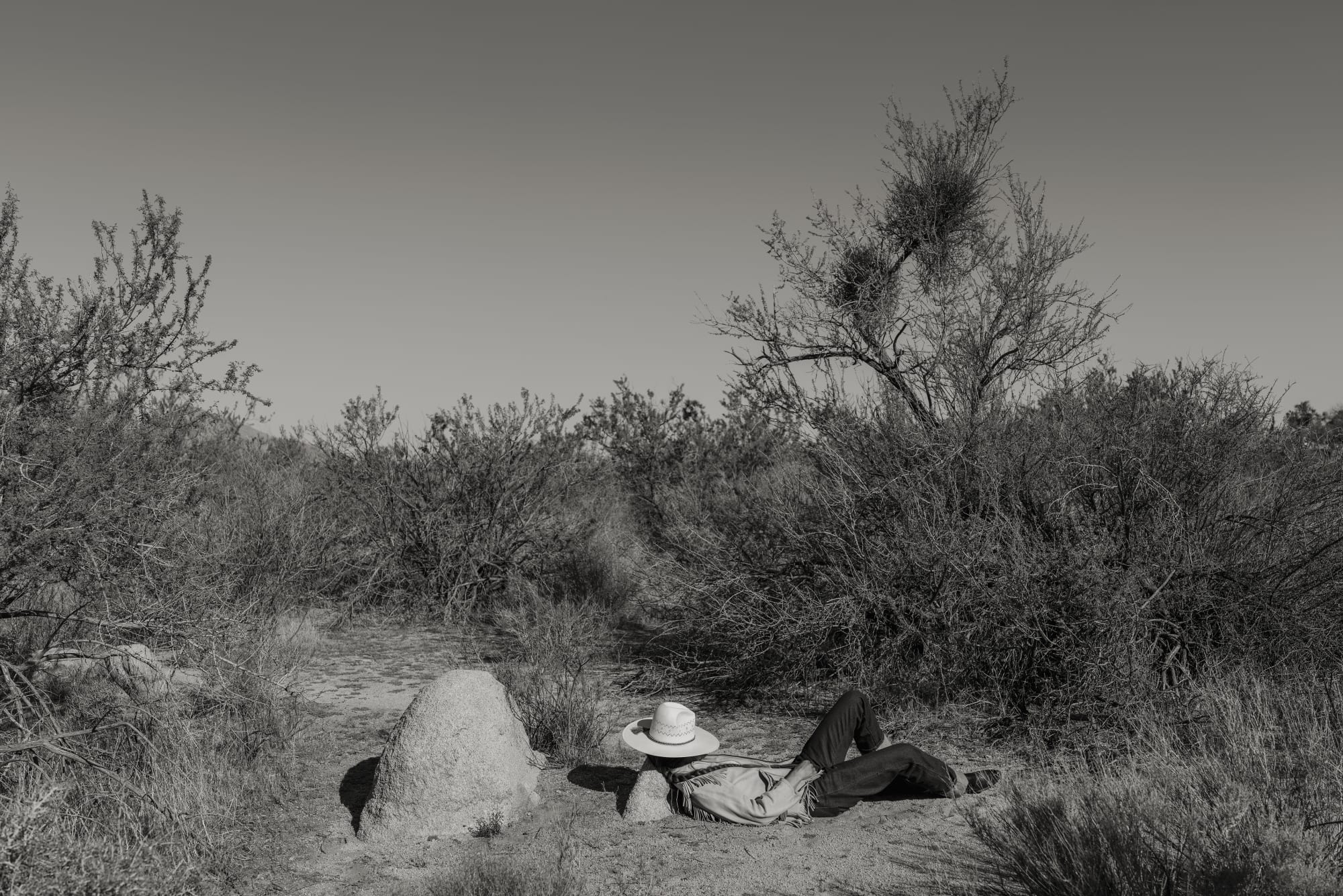 No.36 A Naturalist Guide to Magic 2024.