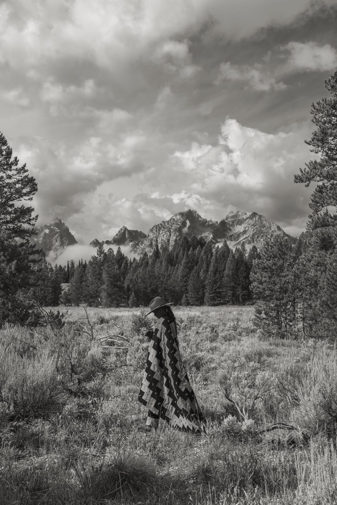 No.49 A Naturalist Guide to Magic 2024.