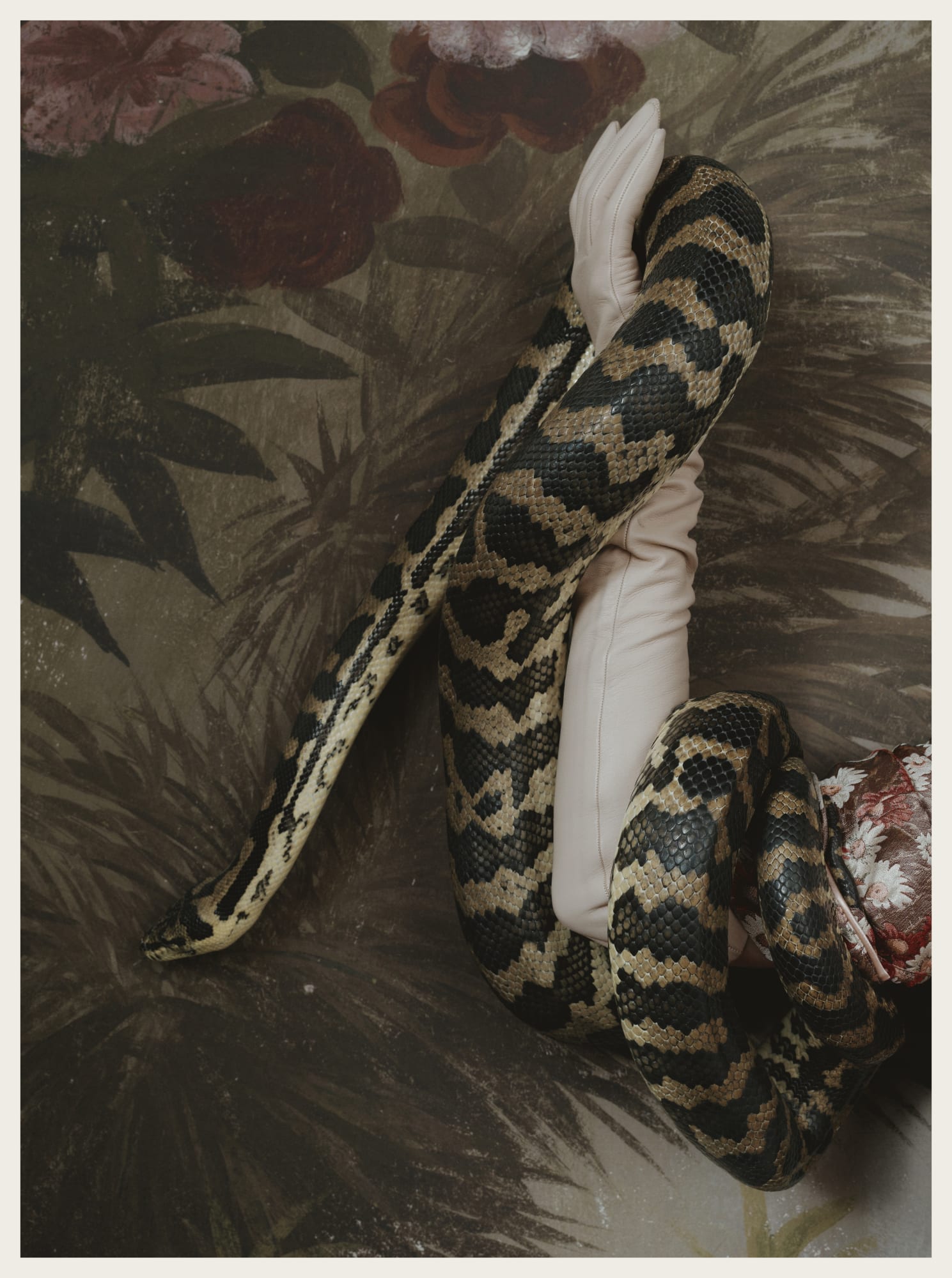 IDEAT Magazine Carte Blanche "Circus Acts" The Snake