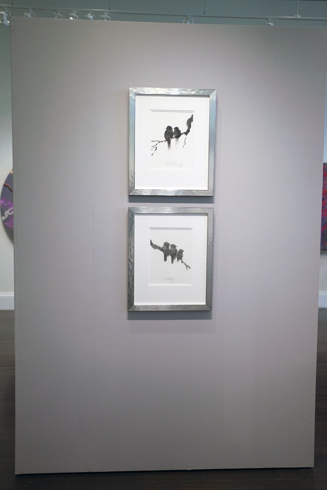 Free Birds of Lockdown Exhibition