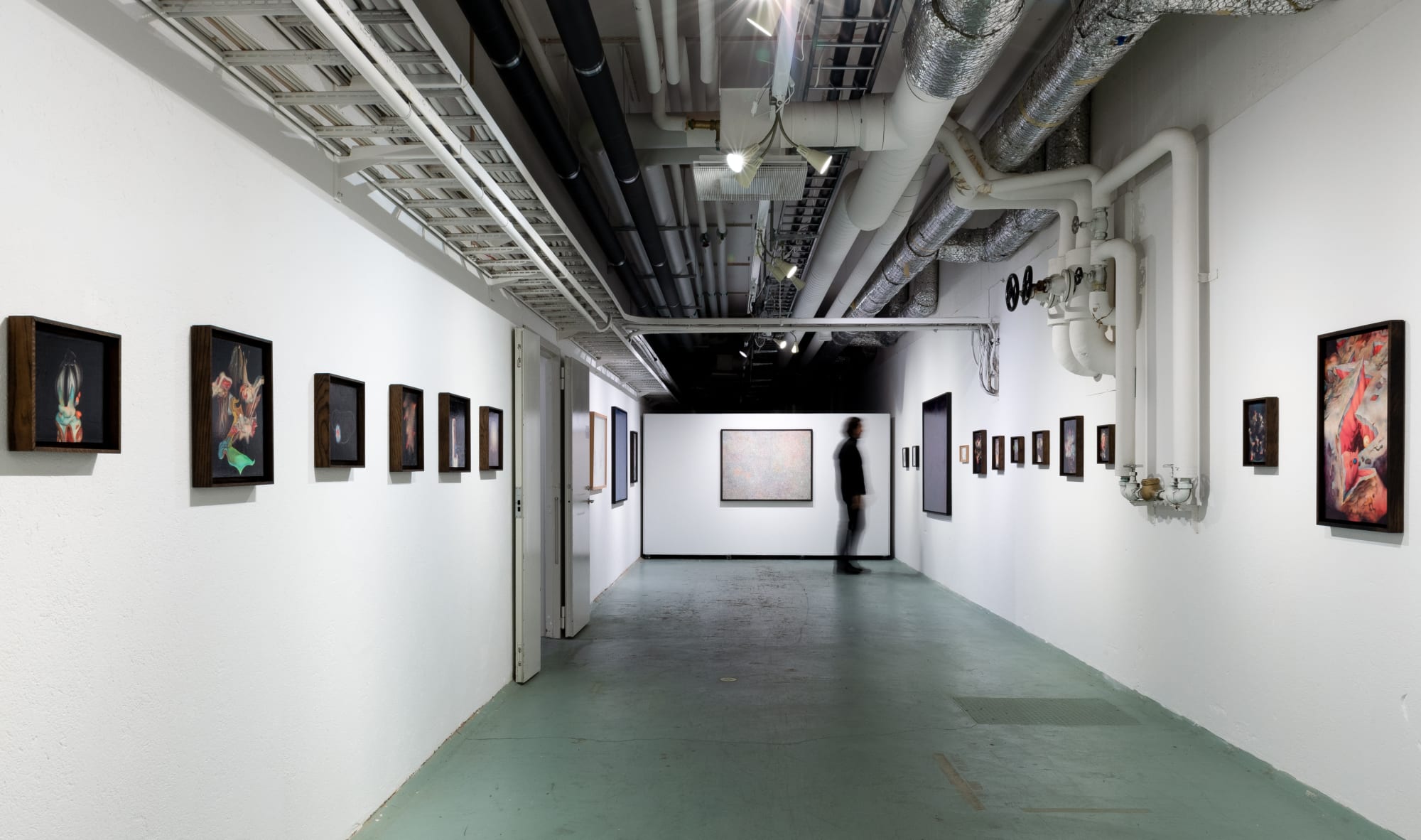 Johnathan Daily | Surfing the apocalypse