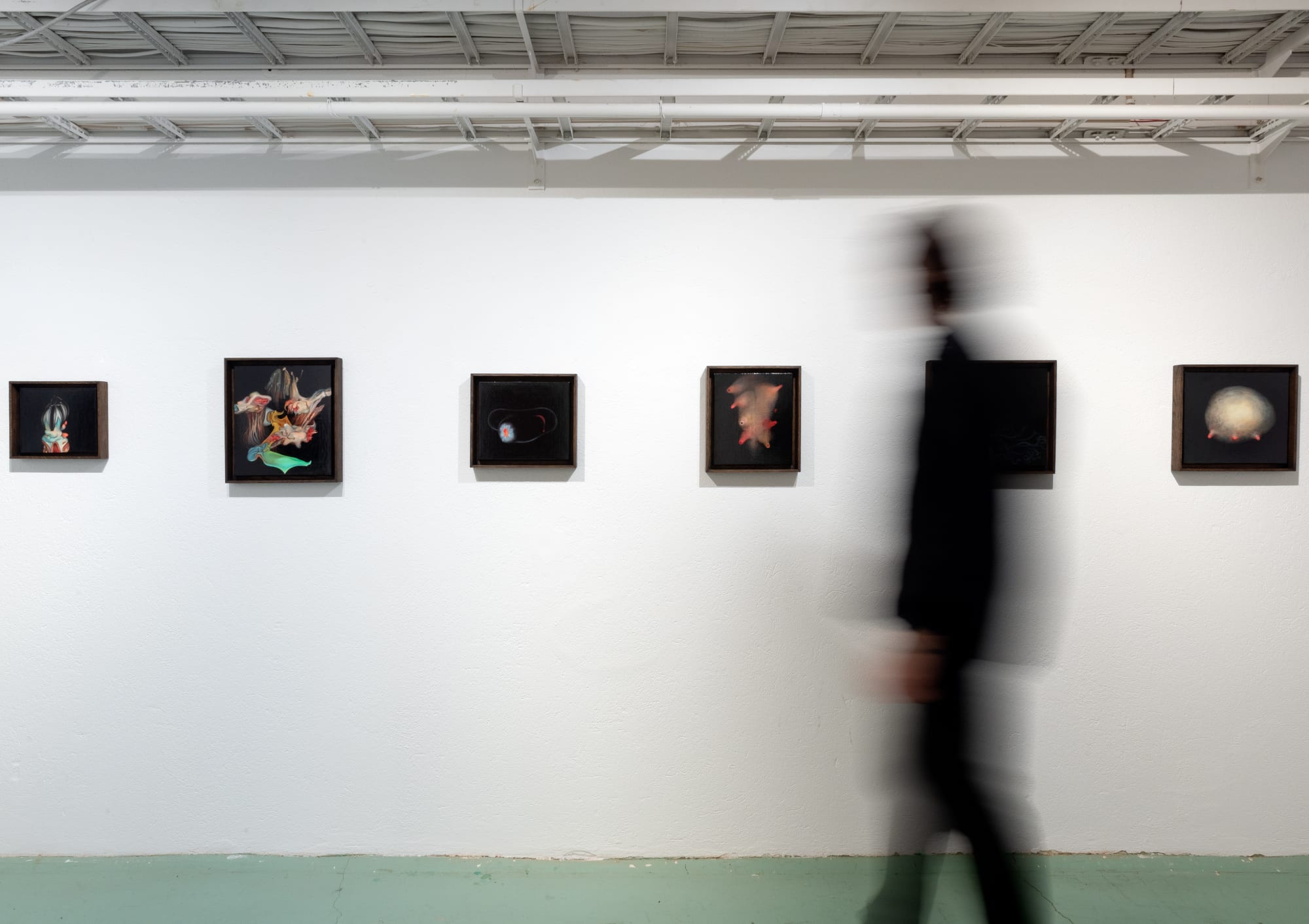 Johnathan Daily | Surfing the apocalypse