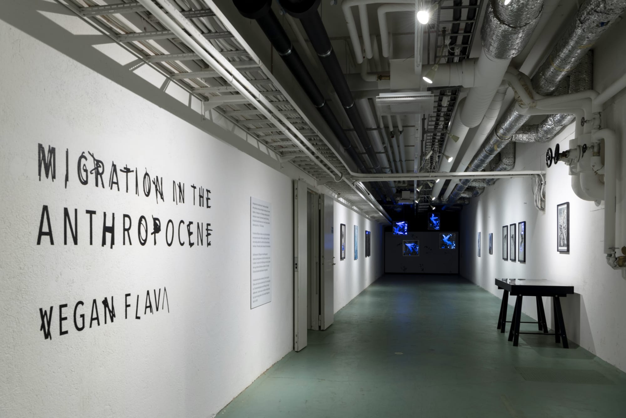 Vegan Flava | Migration in the Anthropocene