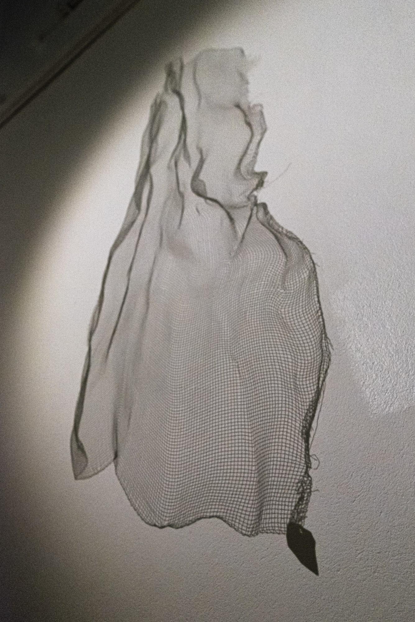 Serinyà | Whispers from the Mesh