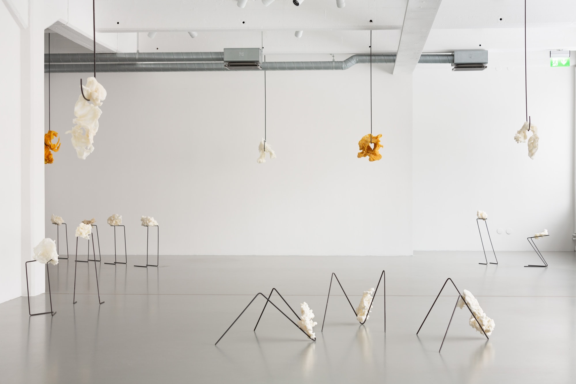 Hannah Nyberg | Shift