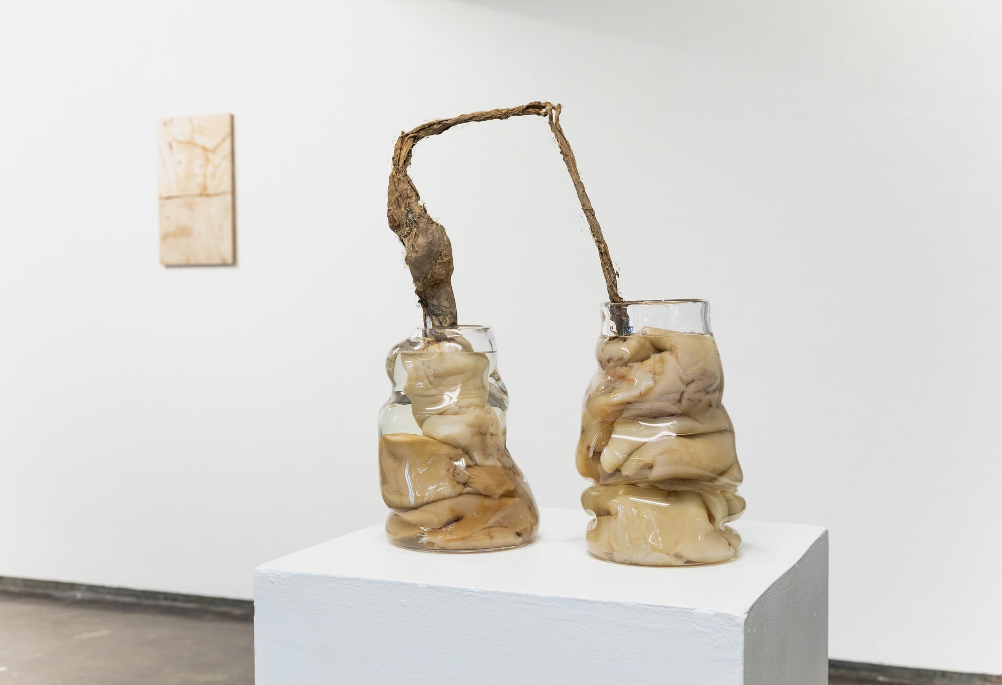 Photo Johanna Naukkarinen; Instagram @marijohannan