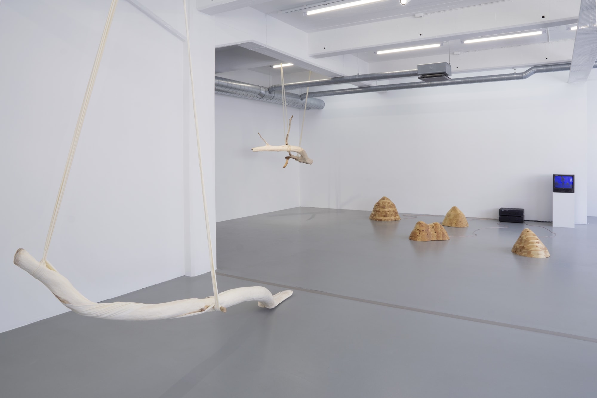 Jordana Loeb | Wooden Feedback