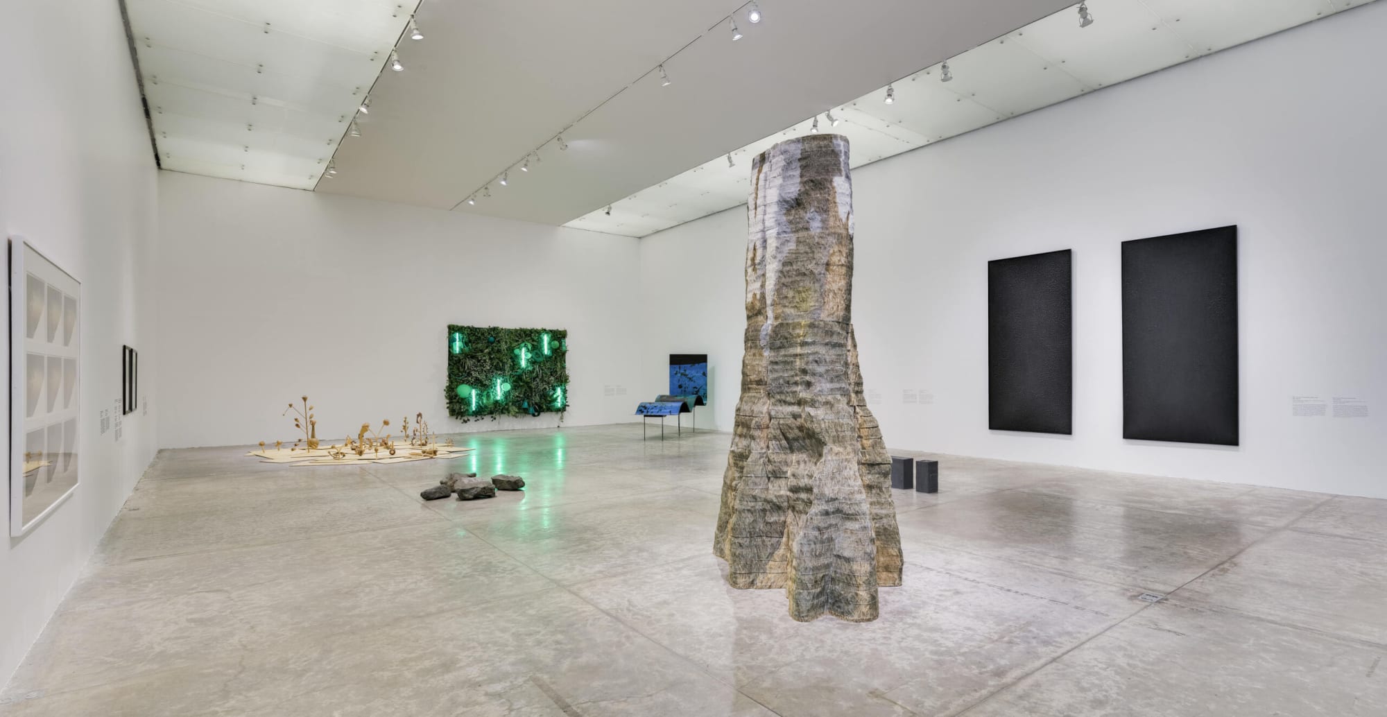 Desde el regazo de un pájaro