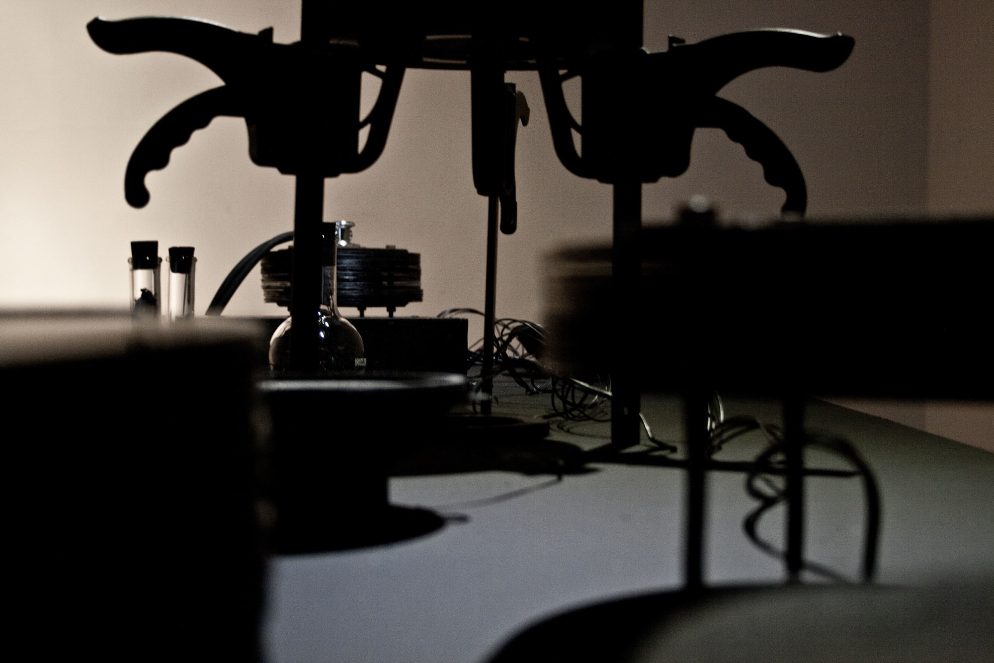 SURCOS; VOCES, SILENCIOS