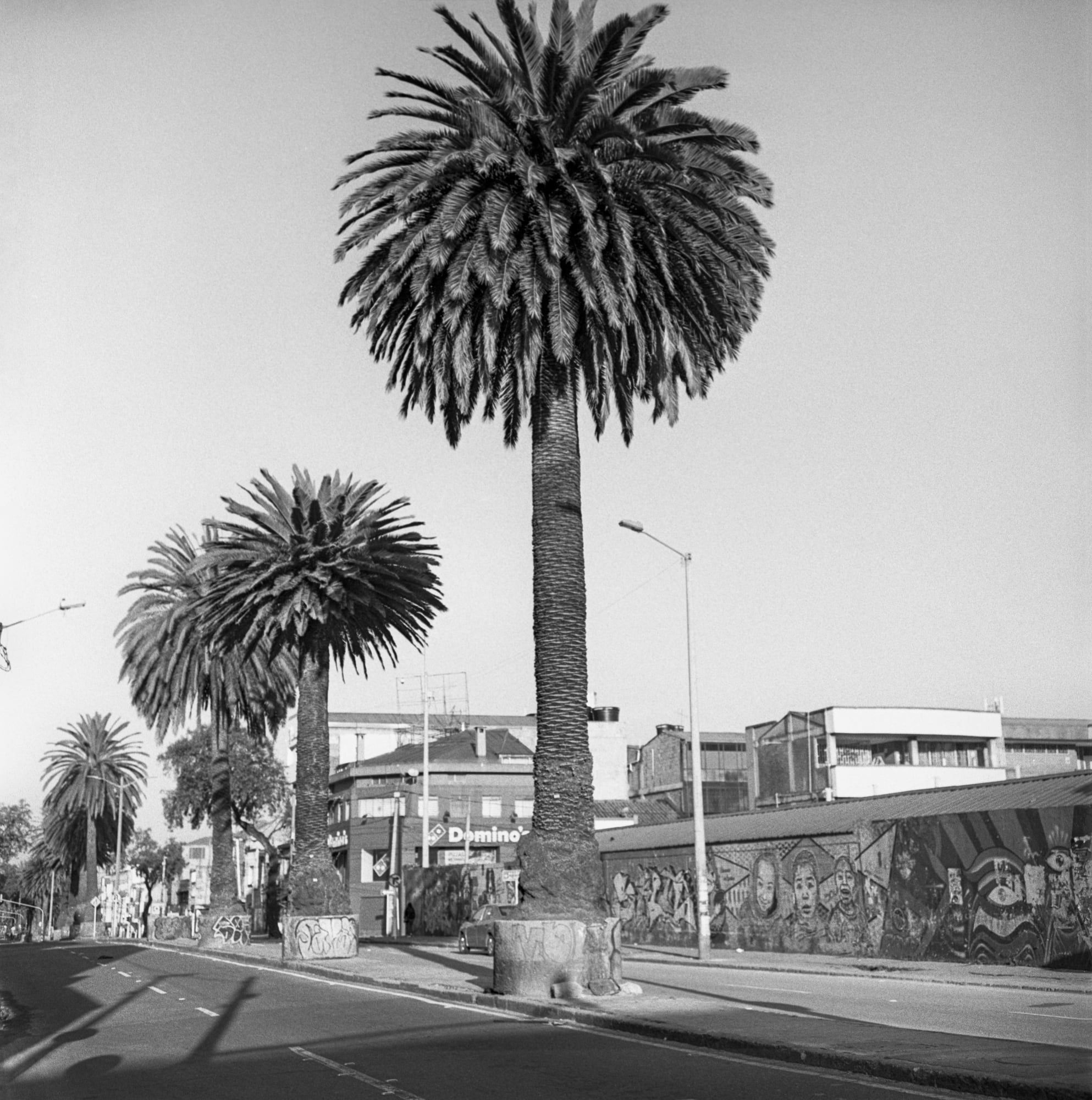 THE DISQUITENESS OF SEEING