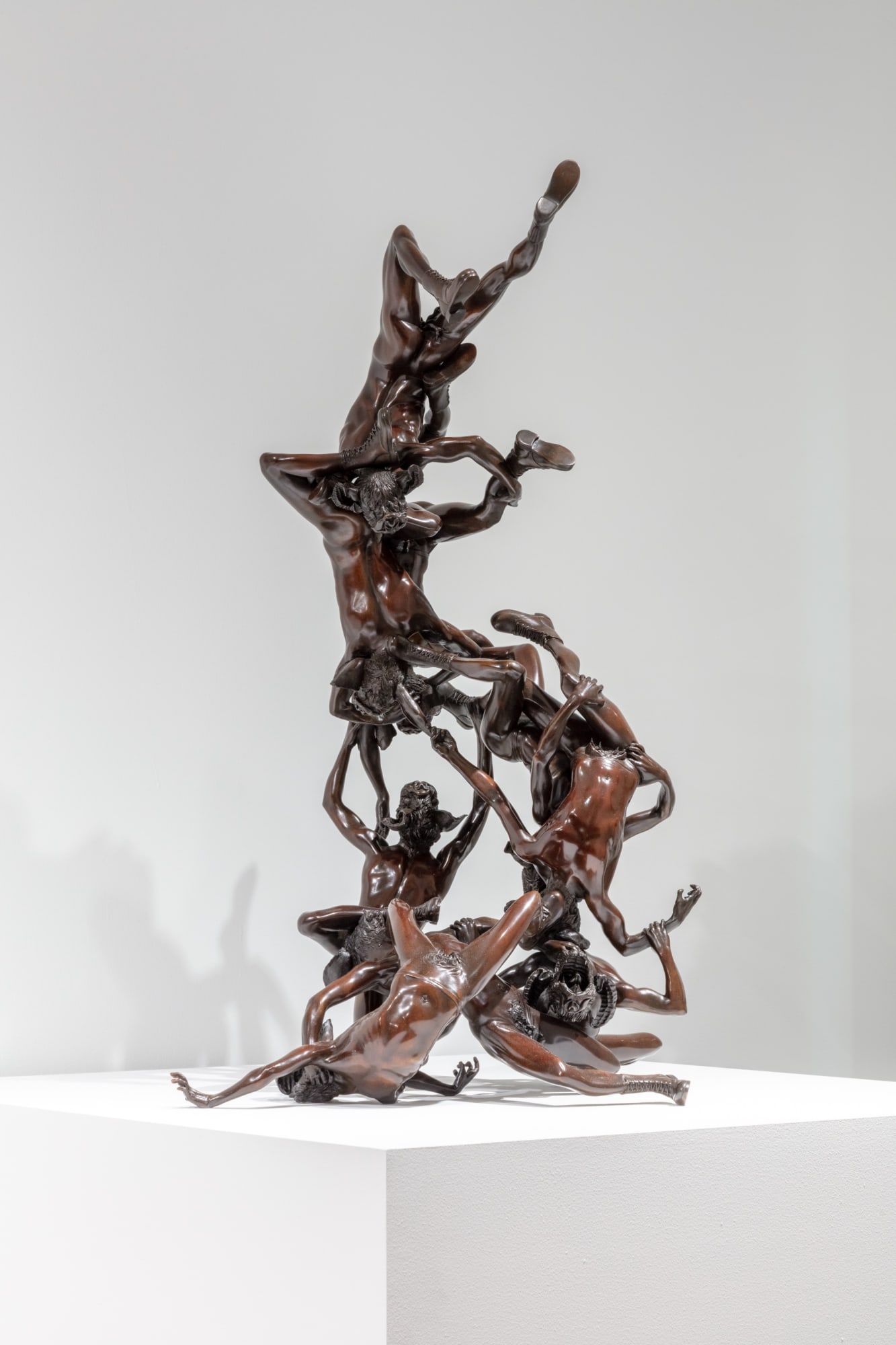 Tales from an Urban Garden