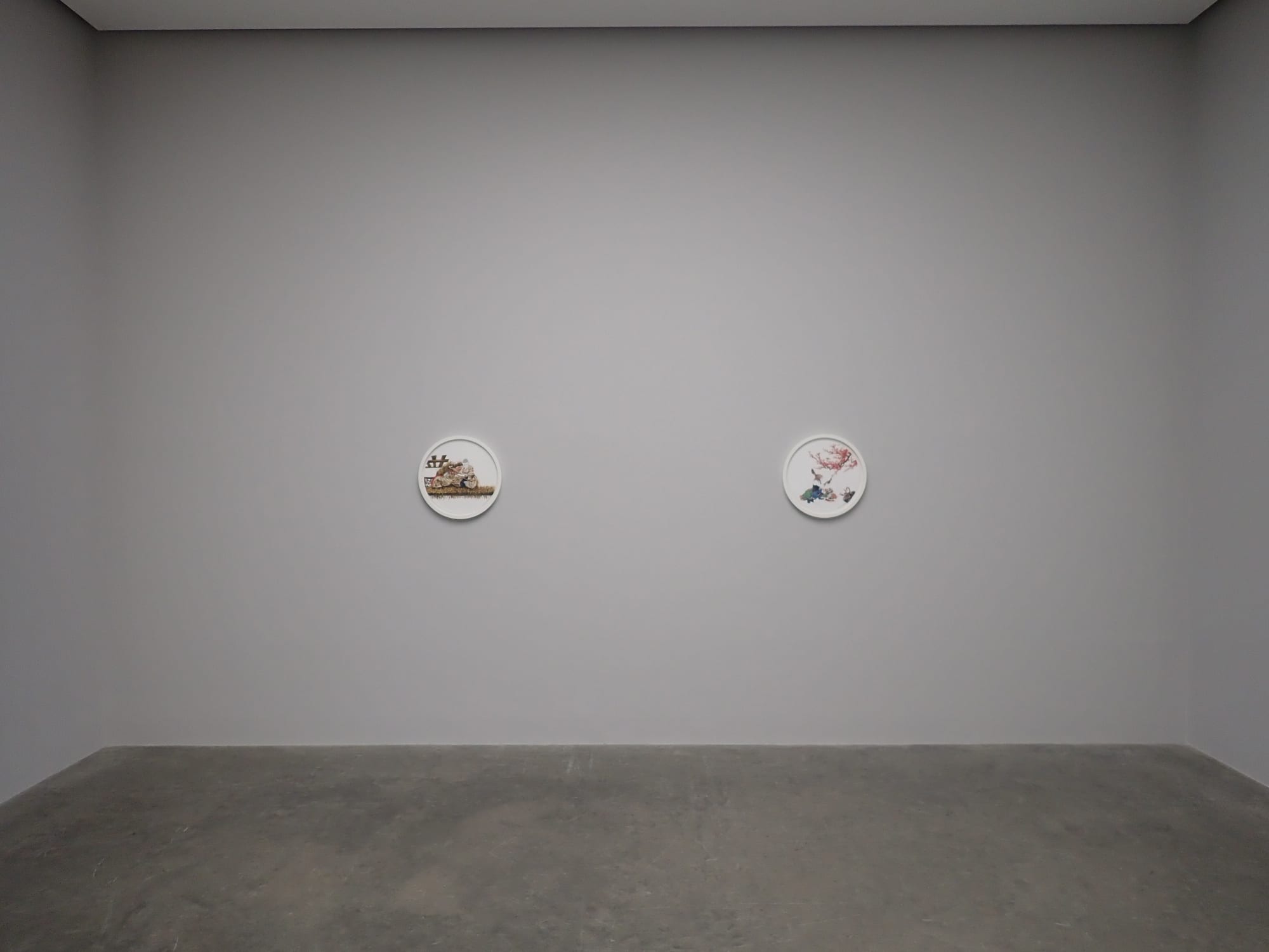 A Summer Among the Narcissi