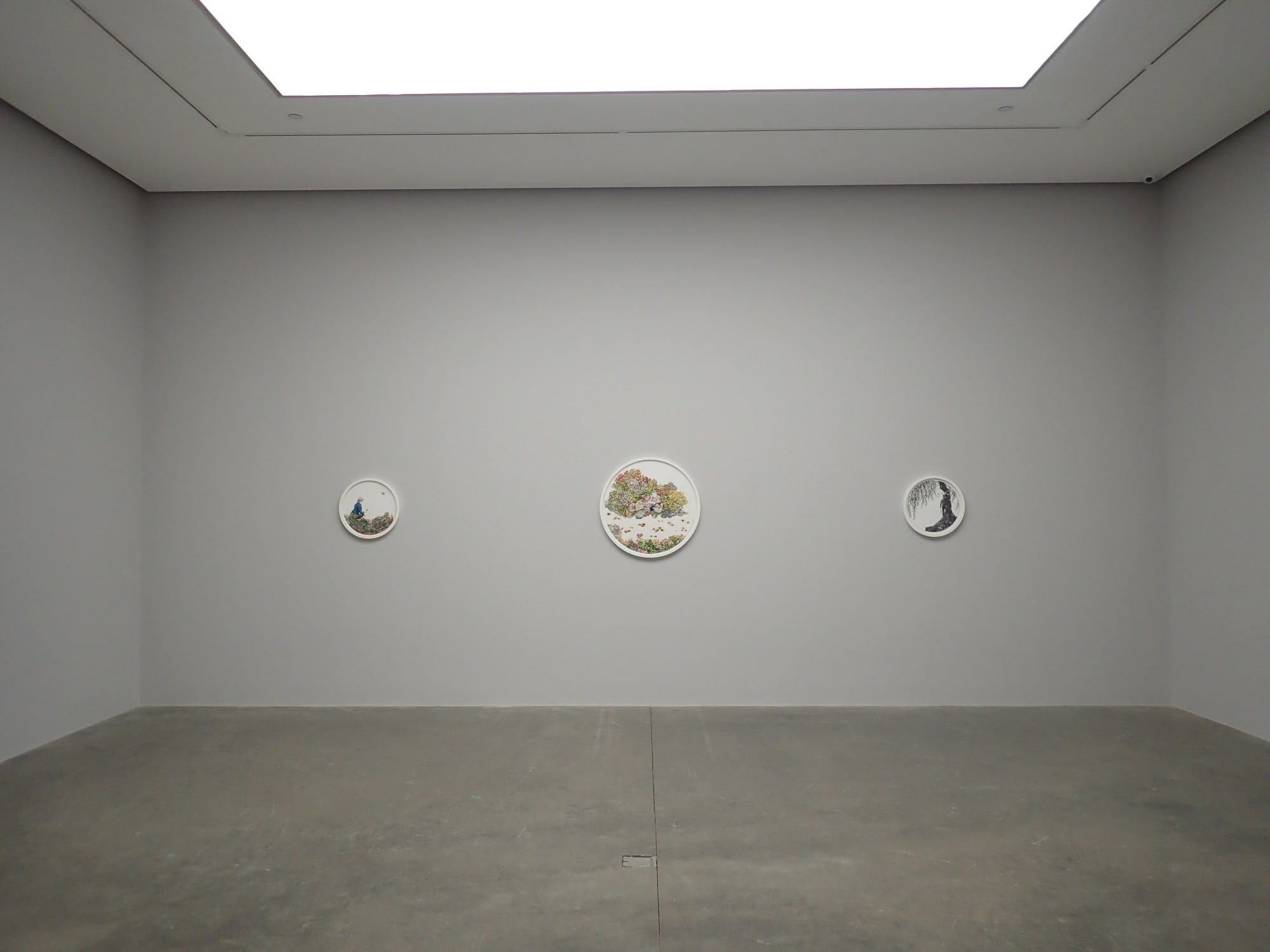 A Summer Among the Narcissi