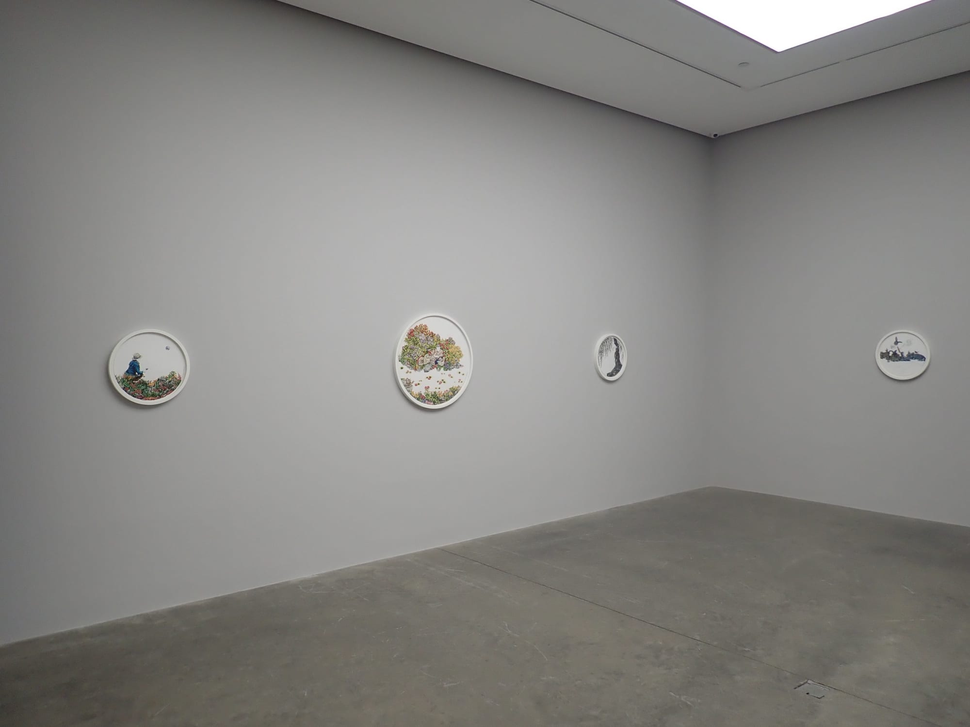 A Summer Among the Narcissi