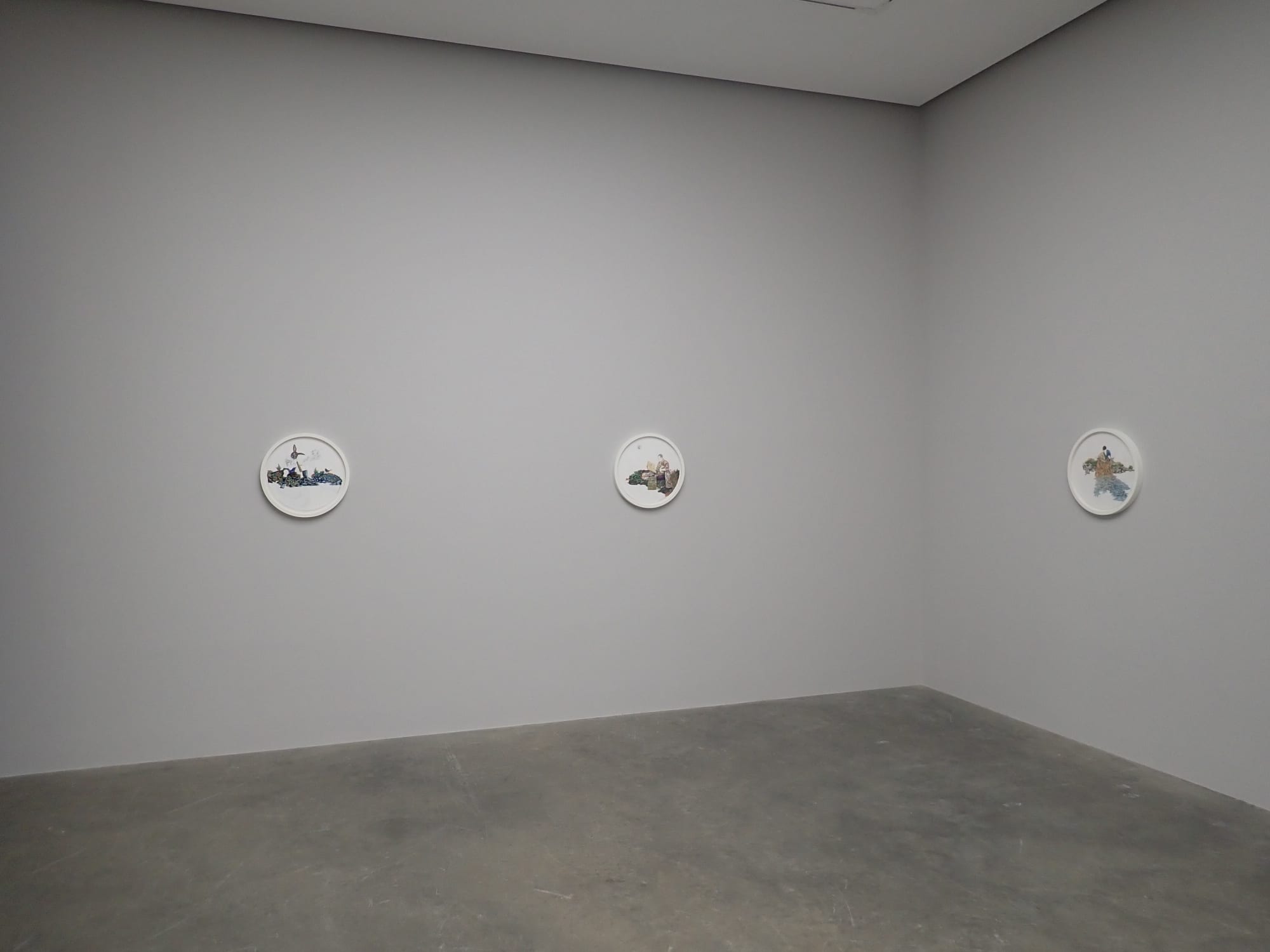 A Summer Among the Narcissi