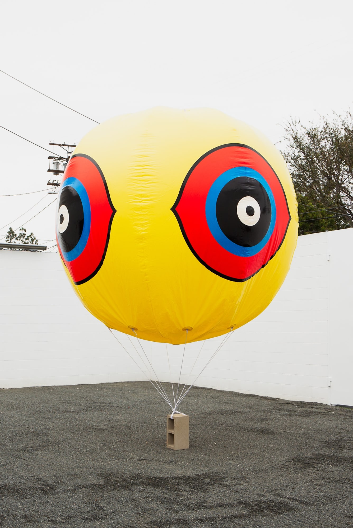 Snake whisky still life and other stories | Curated by Todd Bockley