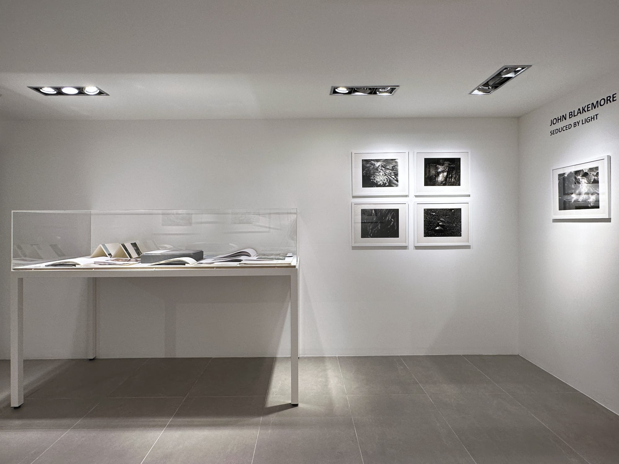 John Blakemore. Seduced by Light