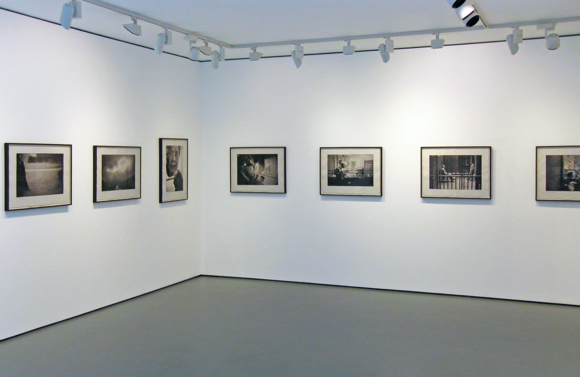 Linda McCartney. Photographs