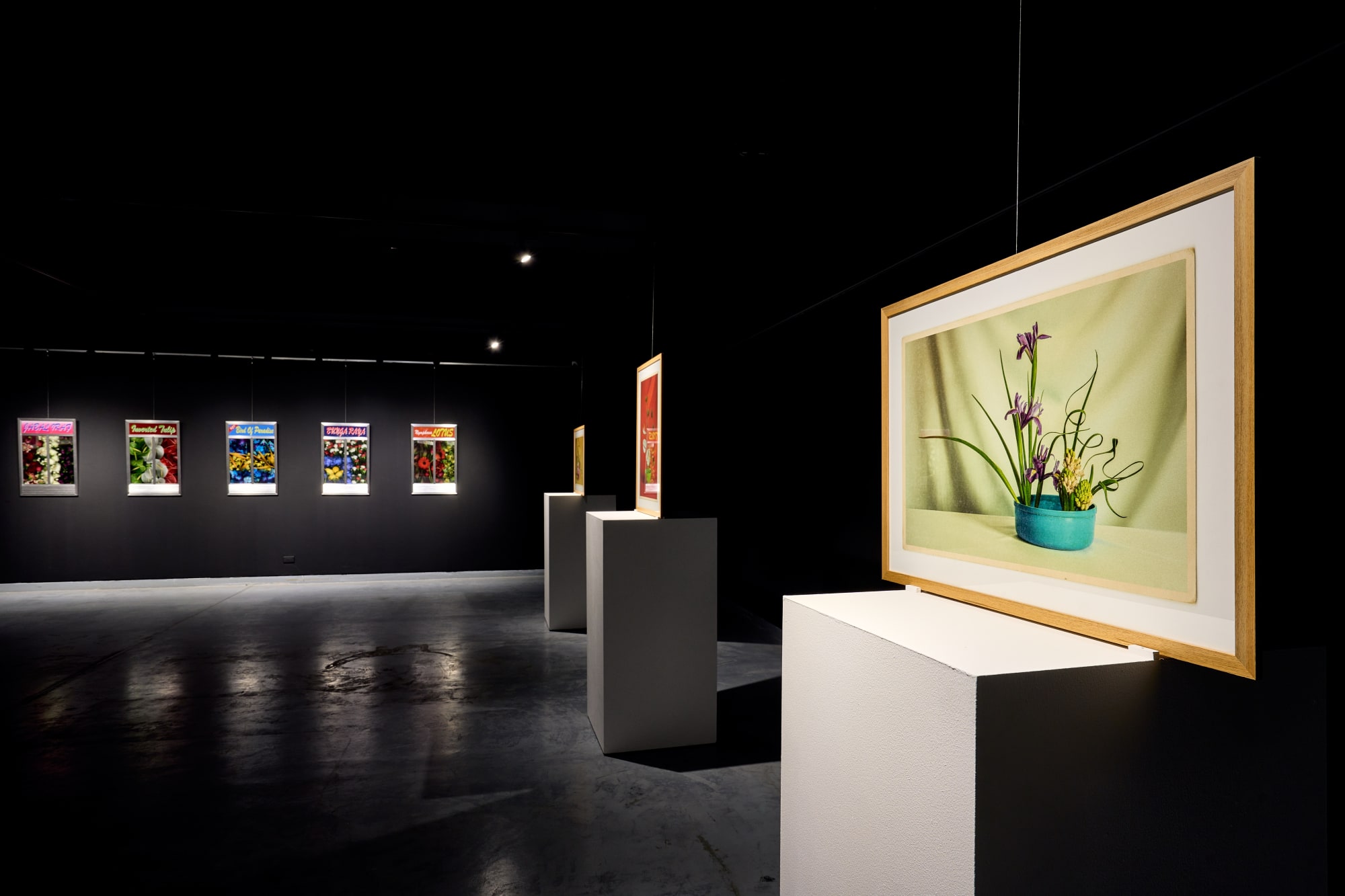 Nature versus Nurture