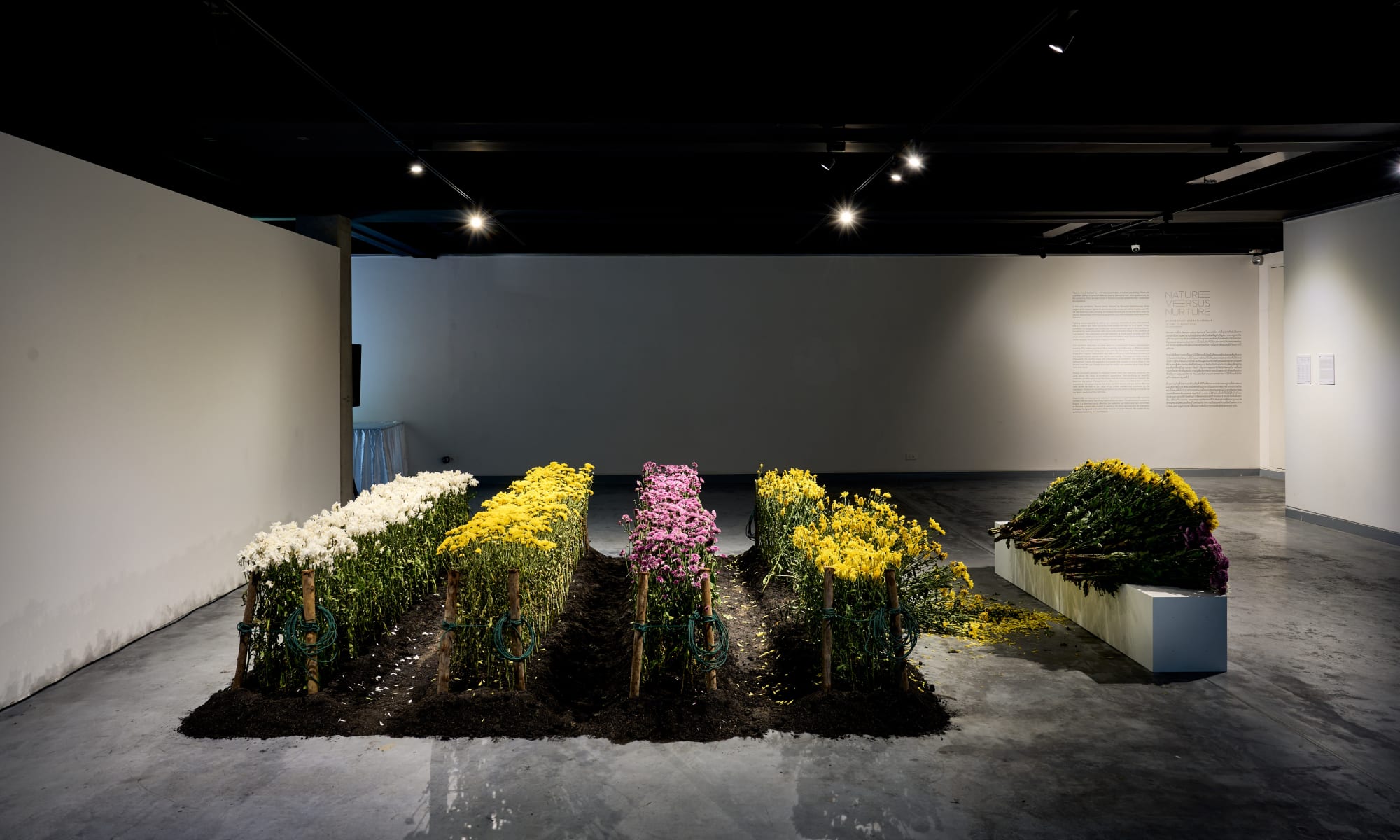 Nature versus Nurture