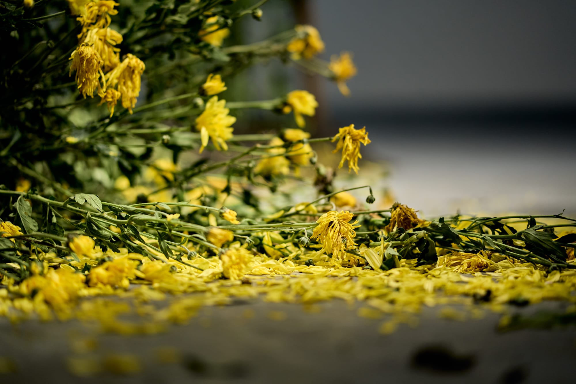 Nature versus Nurture